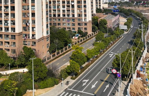 10條精品街道綠化工程全面上新，城市面貌煥然一新